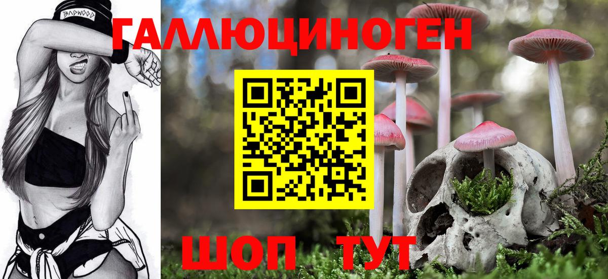 Галлюциногенные грибы Cubensis Качканар